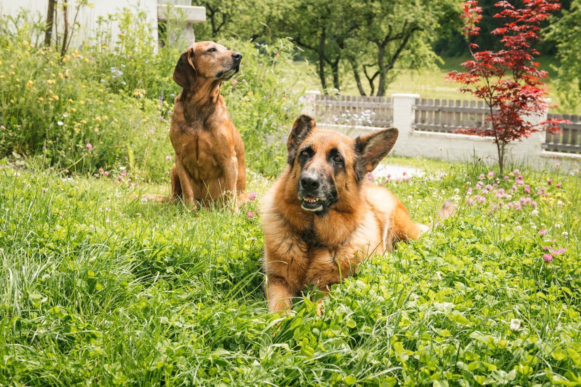 Edenhauserhof Neu Gotzens Экстерьер фото