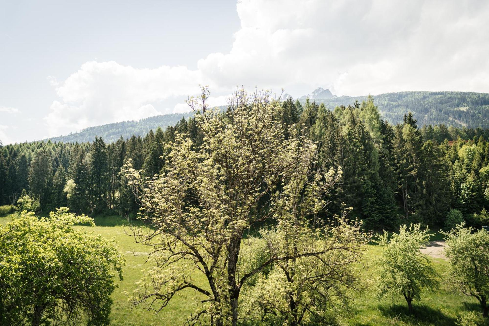Edenhauserhof Neu Gotzens Экстерьер фото